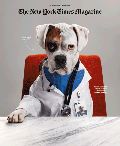 Pettway-Sagmeister-NewYorkTimes-Cover-Pet-Health-2017-03